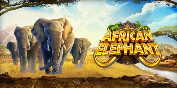 Strategi Gacor Slot African Elephant Yang Jarang Diketahui Pemain